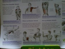 anatomical stretching chart